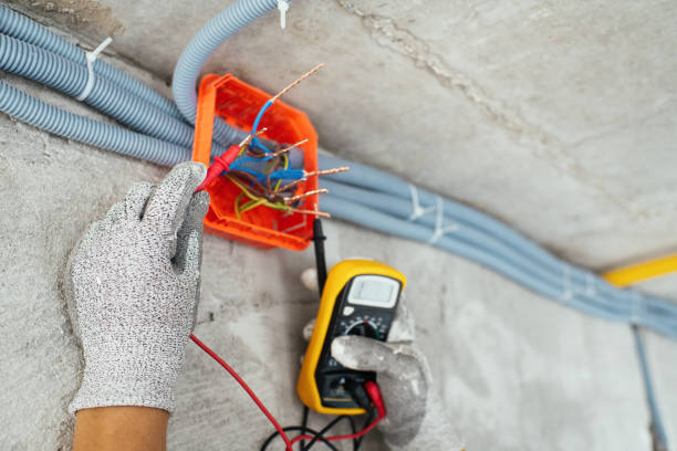 Best Ceiling Fan Installation Electrician  in Oneonta, NY
